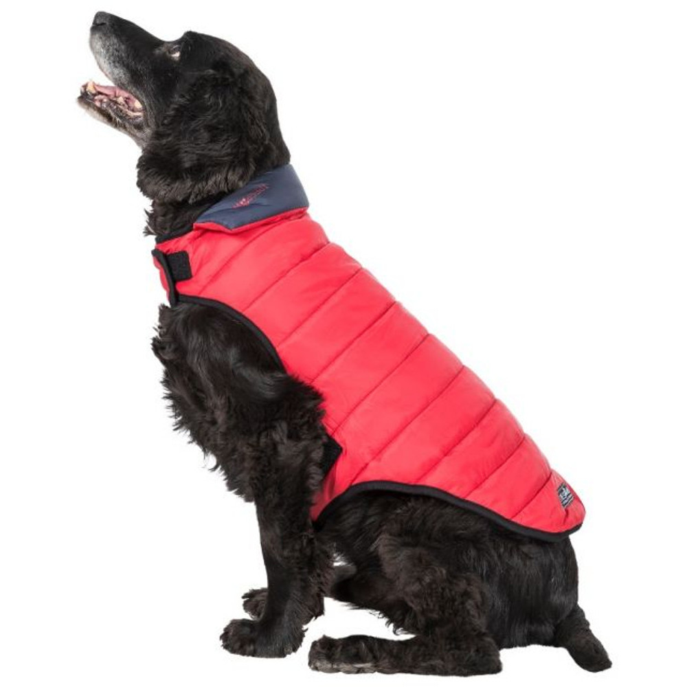 Trespass dog hot sale coats